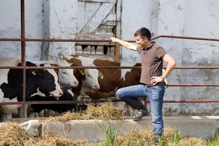 StockwoodCBS's tweet photo. A £6m fund has been launched to encourage the next generation of farmers. The scheme offers start-up aid to high achieving individuals looking to establish new business. https://t.co/CNzcsSIVYa @FarmingUK @NFUCymru https://t.co/lD1VFZGn42