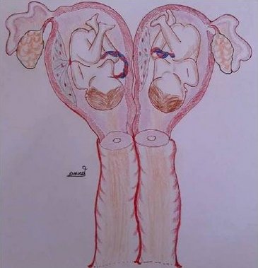 download Biomedical