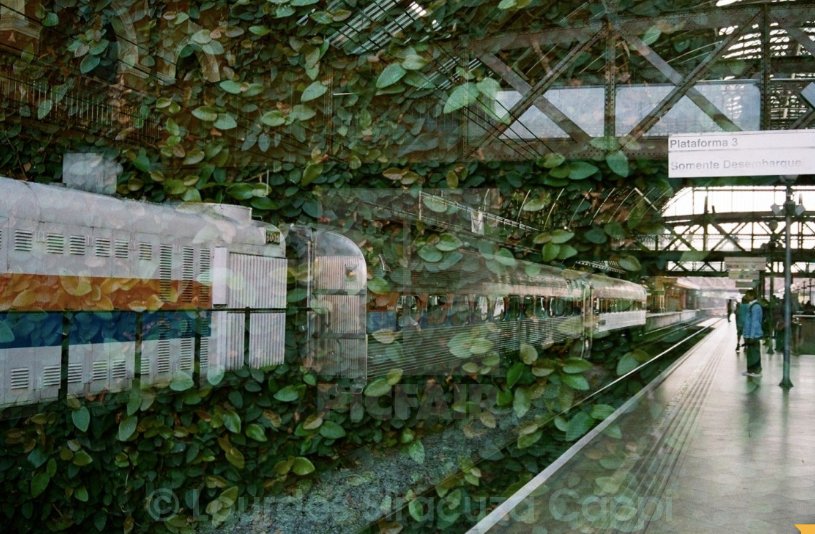 Picfair's tweet photo. JUST PUBLISHED: Themed Collection - Fantastical Multiple Exposures. 😍 

https://t.co/xiWYIUMCRe

Featuring pics by @JJPerspectives, @thisisdecoy, @47photography, @markafoulger, @stockimo, @alxperotto, @mlsirac &amp; more. Well done to all photographers included! https://t.co/CR33pr9UxR