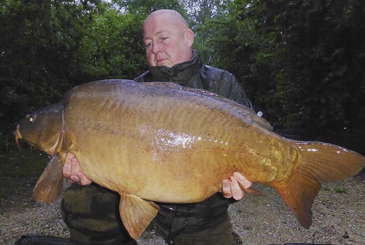 Early morning success for twiggy in peg 8 with this 43lb mirror #carpfishing