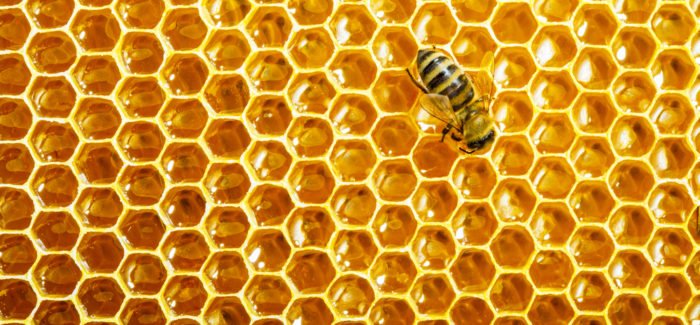 CrouchPatterns's tweet image. the most popular #hexagon that can be found in nature is #honeycomb. many #desginers use honeycomb style to create #patterns. the coloured designs are #fabrics that i have found from @Spoonflower I love the way in which #colour can be introduced to the pattern