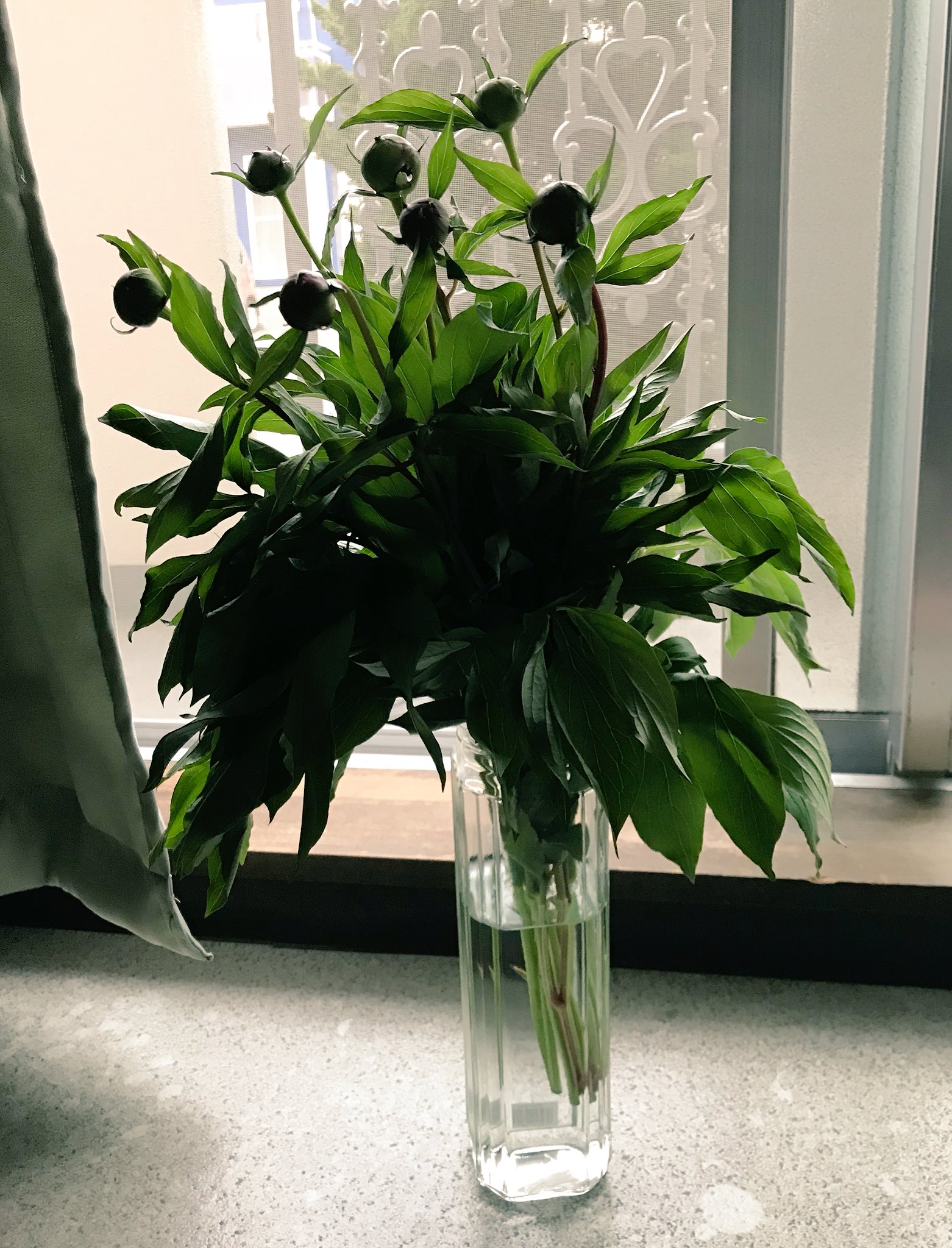 気になるopさんのツイート 芍薬 連れが生けた 花瓶は 実は パスタ入れである