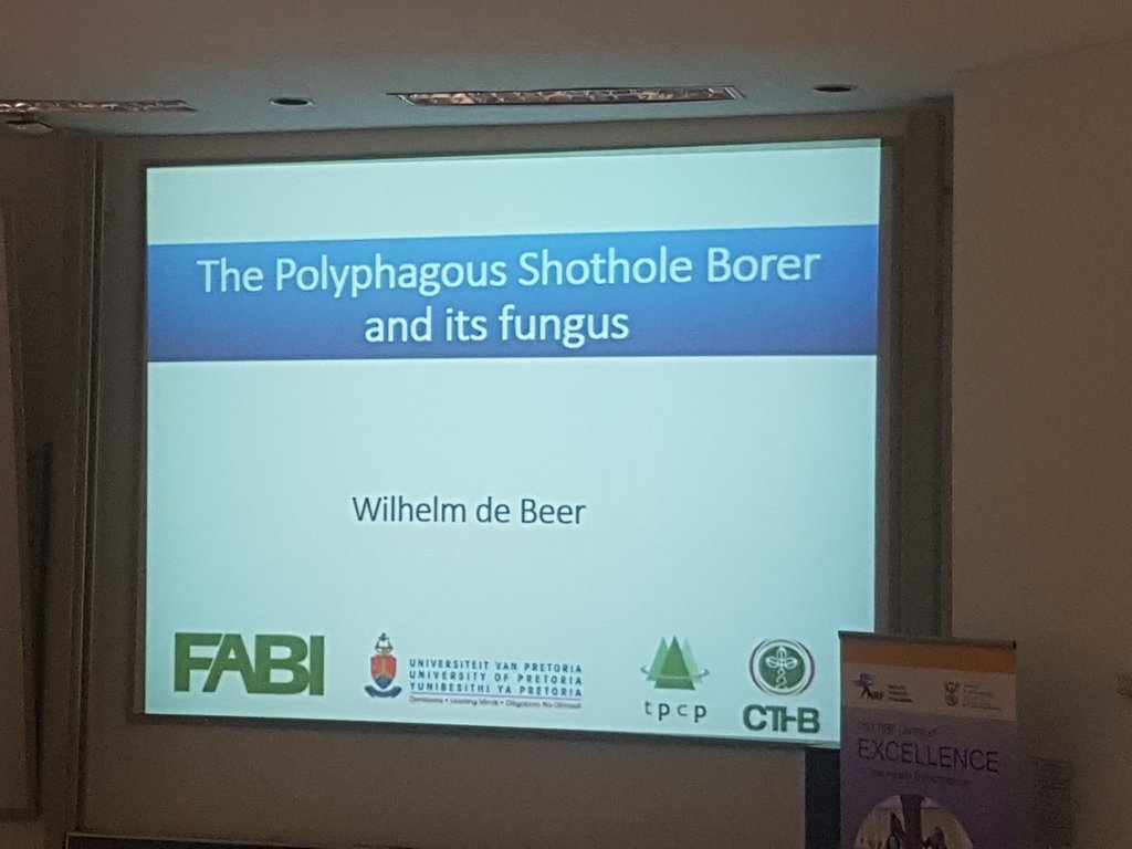 DrAndiWilson's tweet photo. @zwdebeer is about to tell us about the imminent threat of the #PolyphagousShotholeBorer!
#TPCP2018 https://t.co/wQO2ih7Q6C