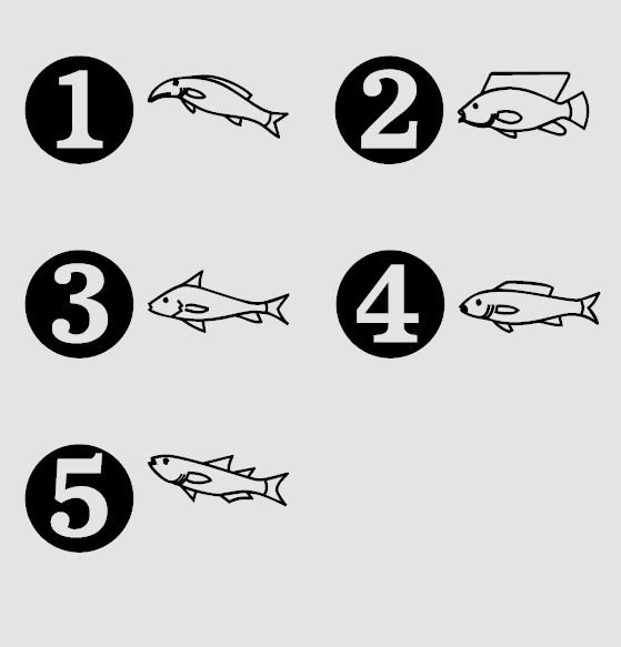 Qvarie 魚名当てクイズ 古代エジプト文字 の ヒエログリフ に含まれている魚類の絵文字における日本語 での名前当てです 1 𓆞 2 𓆛 3 𓆜 4 𓆟 5 𓆝