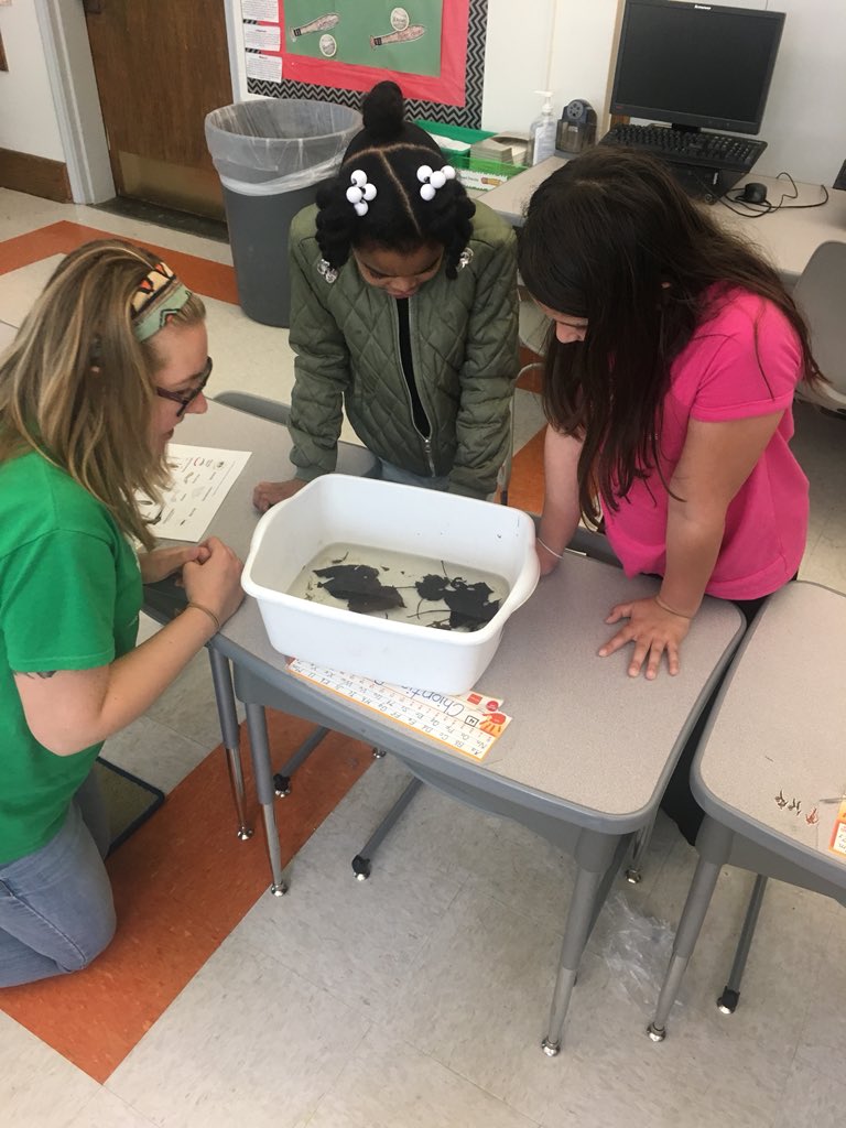 MrChirinosSL's tweet photo. Enjoying our Baltimore Woods visitors. Learning about water bugs!! https://t.co/241hXDFCp0