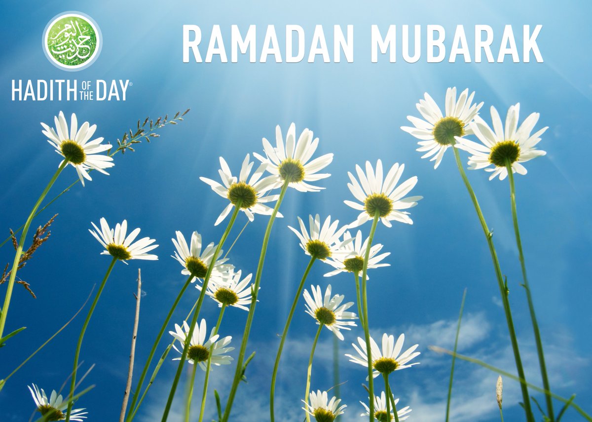 Hadithoftheday's tweet photo. We are so excited! 

❤️ Ramadan Kareem to our HOTD family❤️

We hope this will be your most productive &amp; beneficial Ramadan ever. Get prepared for some awesome content, some free Umrah competitions &amp; much more in this blessed month!

#Ramadan #HOTD #Hadithoftheday https://t.co/yE9YsJztJw