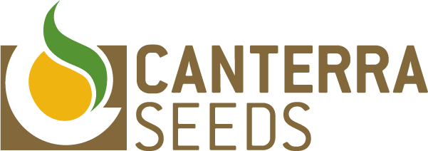 RealFarmRewards's tweet photo. Check out the product guide for @CanterraSeeds and see the awesome #RealFarmRewards they're offering on #RRCanola! https://t.co/VMkDkpy9c7 https://t.co/kOydH56bqX