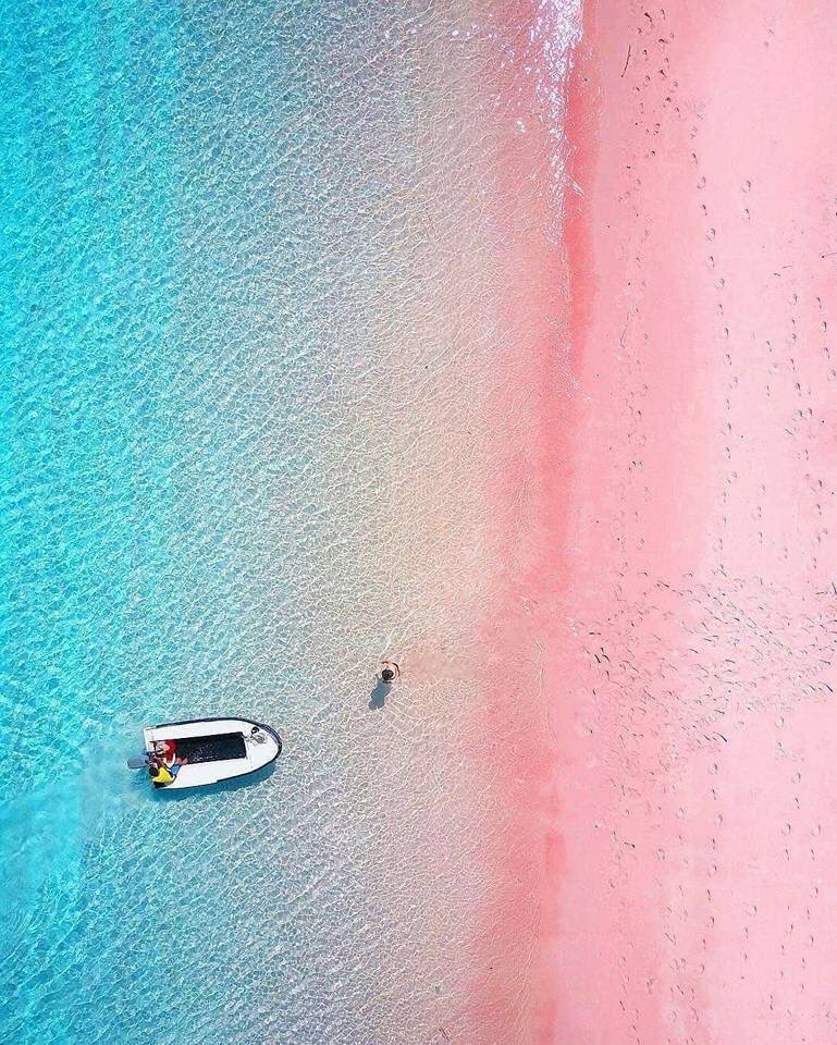 อเวจีสีชมพู tweet media