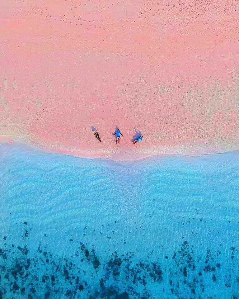 อเวจีสีชมพู tweet media