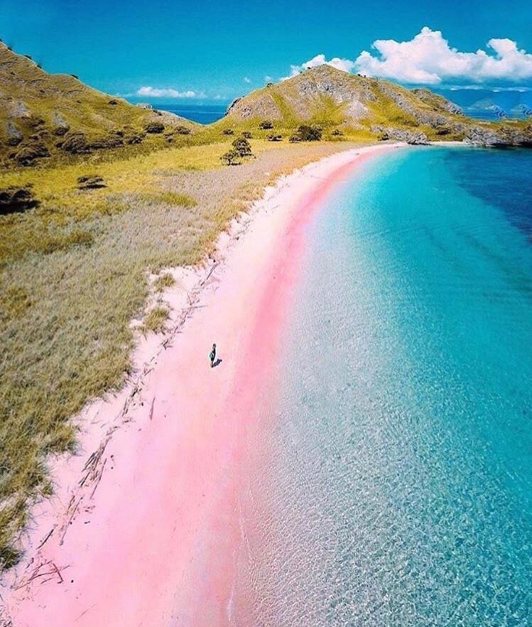 อเวจีสีชมพู tweet media