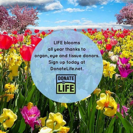 #OrganDonation #Transplant #Save8 #OrganTransplant #CORE #SaveALife #DonateLife #LetLoveBloom