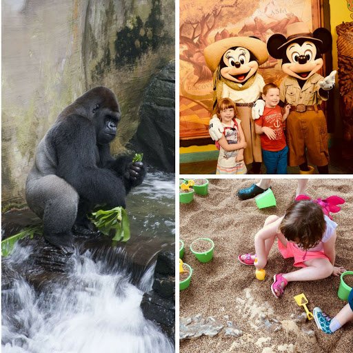 JustBrightIdeas's tweet photo. From safari animals and dinosaur fossil hunting to the amazing Lion King show these are our top picks for things preschoolers love at Disney’s Animal Kingdom! https://t.co/sWs1Sm1zQS https://t.co/DkDzPQ3PRc