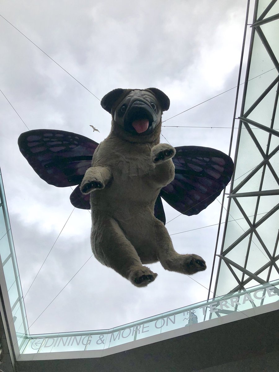 LHSArtandDesign's tweet photo. #LHSRes18 we have hit Liverpool One shopping!! @LarbertHigh #shoptastic https://t.co/deVuSmEFP0