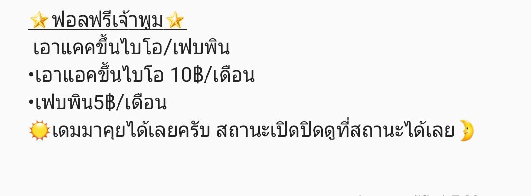 ฟอลฟรีเจ้าหมี tweet media