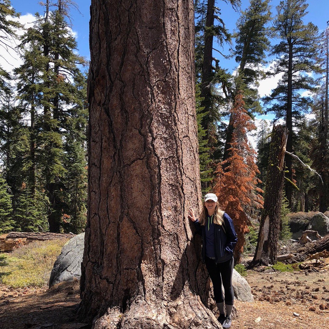 E6Apparel's tweet photo. Taking it to the #WestCoast today! Our e6 windbreaker is perfect for a #hike! https://t.co/wd1UQcn5wP https://t.co/BYoUrmjaDX