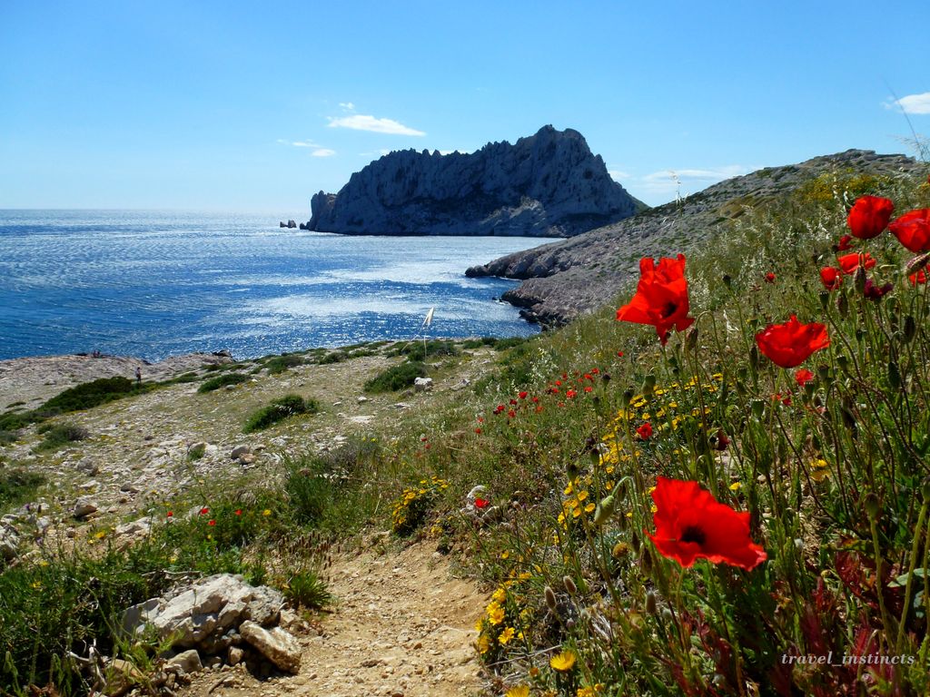 VDiazPhoto's tweet photo. You're always one decision away from a completely different life.
.
#marseille #lesgoudes #callanques #travelquotes #travelblogger #lesud #travelstroke #instatraveling #travels #travelfood #travellingthroughtheworld #travellifestyle #traveler #instago #travelingtheworld #traveler https://t.co/nOnkZ4l0Mk