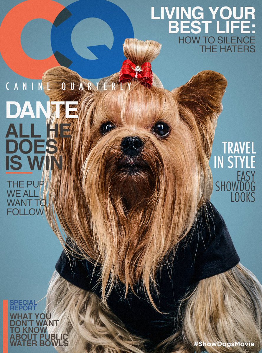 All he does is win, win, win no matter what! Dante struts his stuff on the cover of CQ.  #ShowDogsMovie.opens In theaters Friday. Get tickets here:  bit.ly/showdogstix