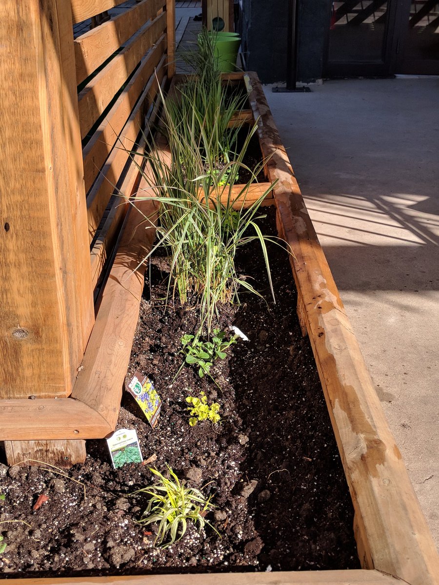 HellsBasementMH's tweet photo. A big thank you to our local green thumbs for getting our patio planter boxes in order this spring. #greenthumb #hopvine #hops #patio https://t.co/9Jh11NGaNC