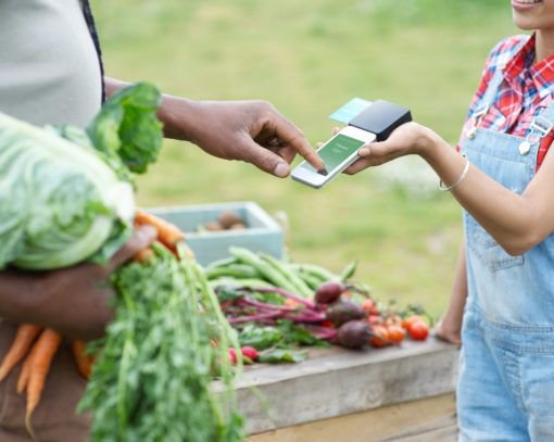 ¿Sabías que los fabricantes de software son clave para lograr formas más ecológicas de hacer negocios? Gestionando correctamente tu empresa lograrás acercarte más hacia un #ComercioSostenible.
Te dejamos tres claves para la sostenibilidad de tu empresa. buff.ly/2KcKVqh