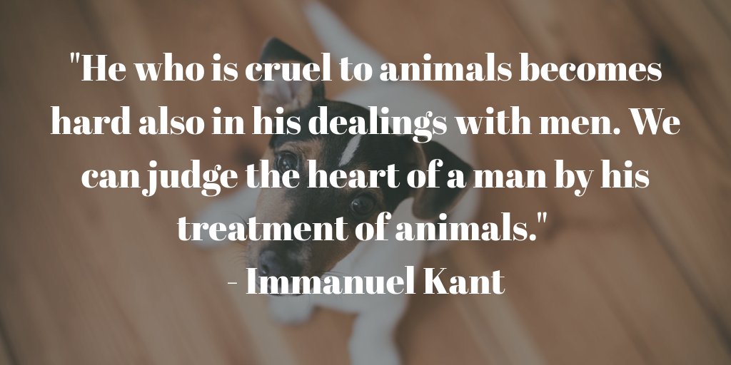 MarkJahnWriter's tweet photo. "He who is cruel to animals becomes hard also in his dealings with men. We can judge the heart of a man by his treatment of animals." - Immanuel Kant
#WednesdayWisdom #Kant #quotes https://t.co/cSfOWtYOvq