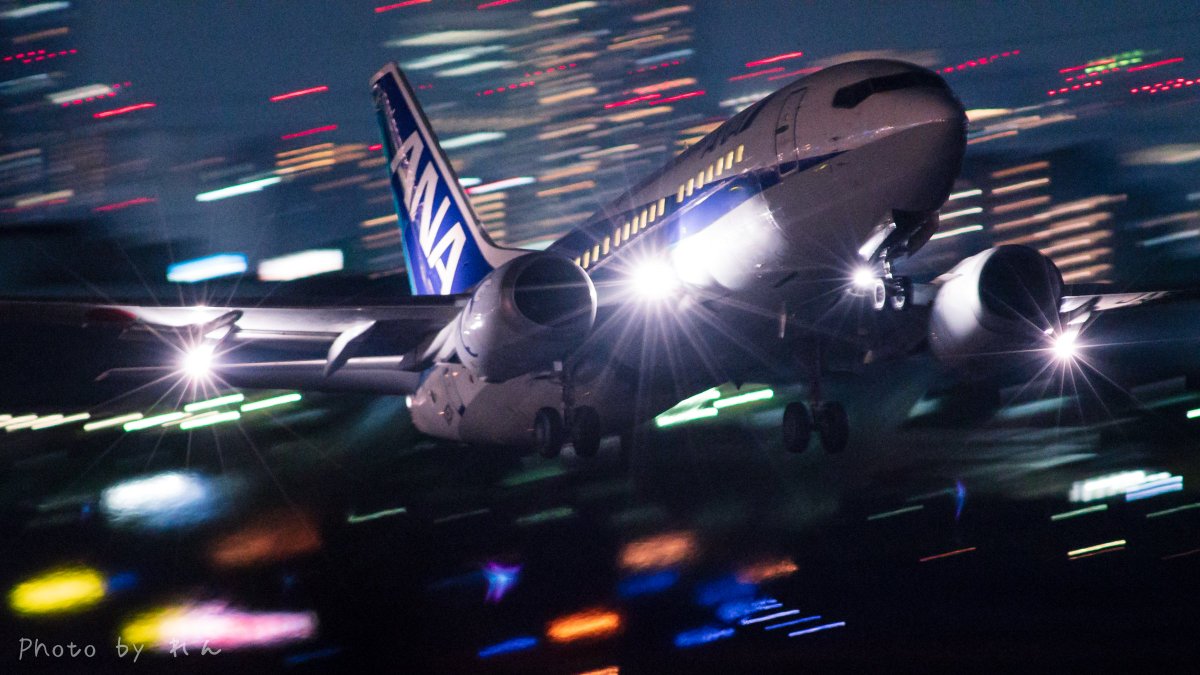 最高かつ最も包括的な飛行機 壁紙 夜 花の画像