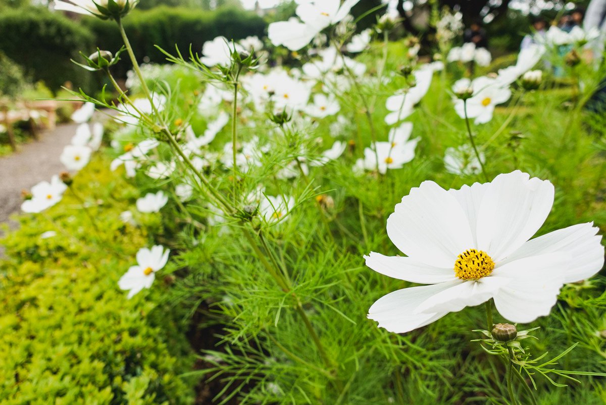 תג 湖水地方 בטוויטר