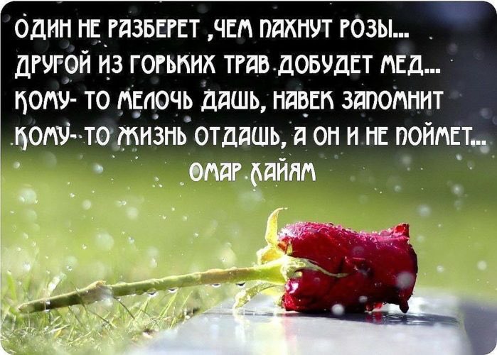 David Lagvilava (@david_lagvilava) on Twitter photo 