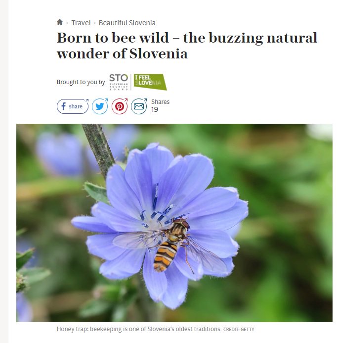 Feel Slovenia tweet media