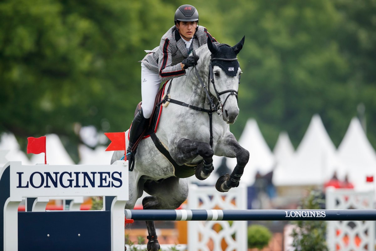 BWP the absolute master in Hamburg 👌👏🥇🥇 <a href="/nphilippaerts/">nicola philippaerts</a> <a href="/PiGiBucci/">PIERGIORGIO BUCCI</a> belgian-warmblood.com/EN/news/bwp-th…