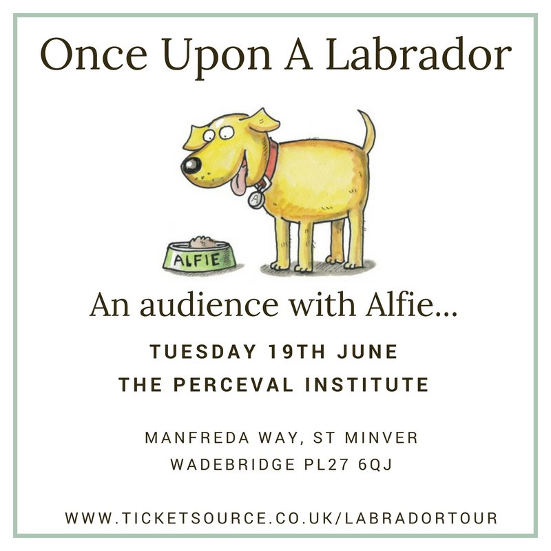 alfiewdog's tweet photo. We hope #Wadebridge is ready to meet Alfie on the 19th June... this one is a Tuesday evening, so grab your tickets for The Perceval Institute on https://t.co/Pe18LWwhoS https://t.co/j8SuNnxeIW