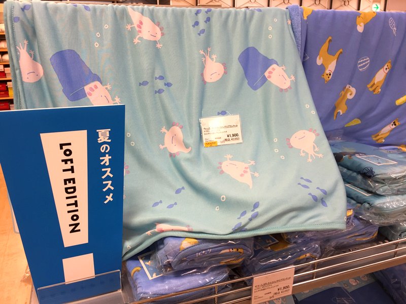 LOFT_IKEBUKURO's tweet photo. \夏のオススメ❄ひんやりブランケット/
見た目も涼しげな、ひんや~りとした接触冷感のブランケットです✨
ウーパールーパーのほほえみ(?)に癒される~💓(*´︶`*) 犬の #しばたさん と #くろやなぎさん のかわいいデザインもご用意しております♪🐾
#11階 #LOFTSUMMER https://t.co/vnLwGKKe2g