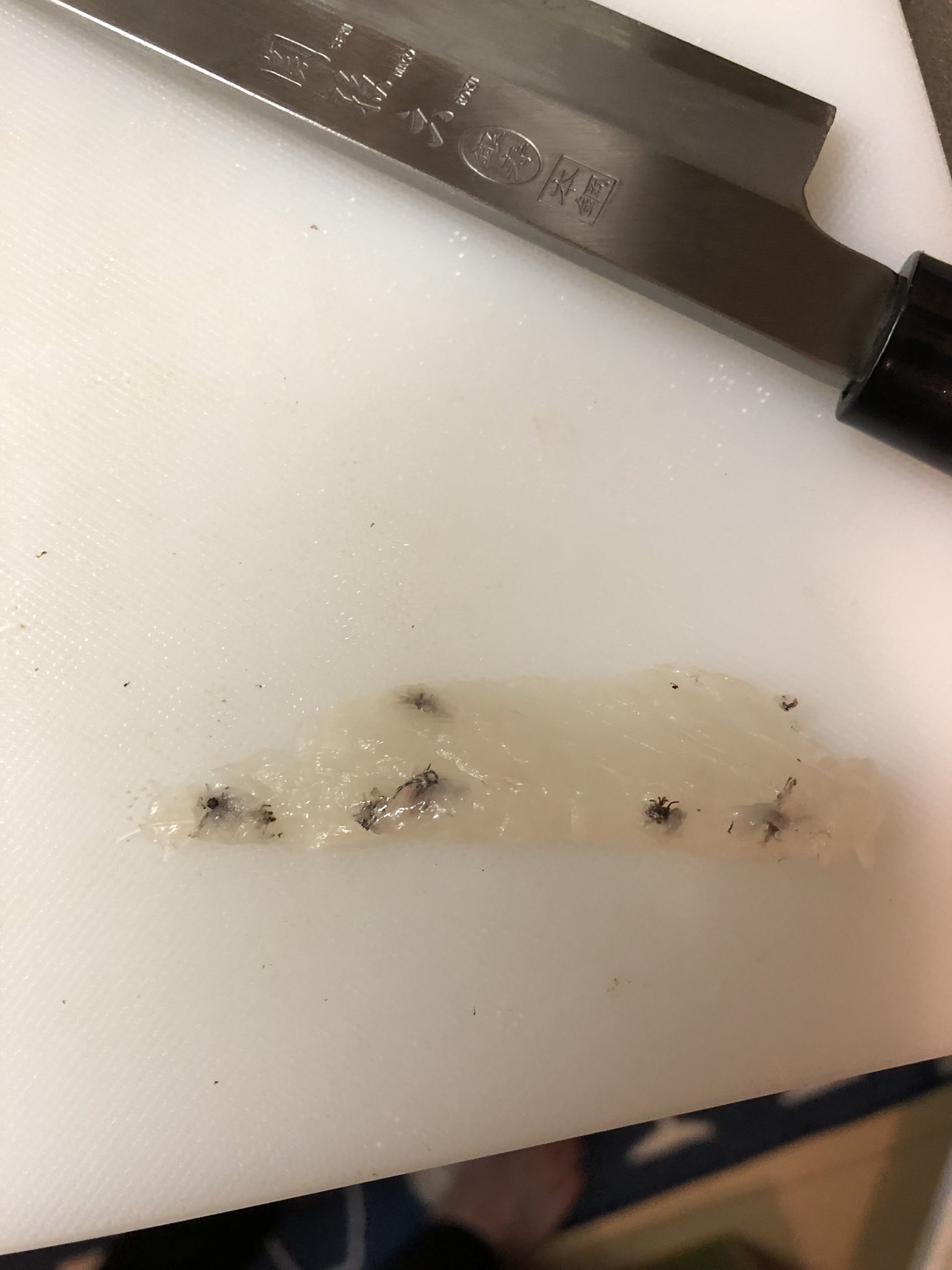 つりたりあ グロ注意 悲報 長門近海にて釣ったキジハタ 35cm に大量のイカリムシの頭部と思しきものが付着 その他の 寄生虫の可能性もあり キジハタを釣った時にイカリムシ胴部が付着してなかったから 何らかの要因でイカリムシが死滅 接触部