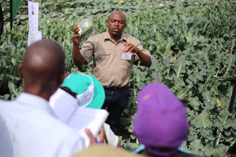 Seed Co Zimbabwe tweet media