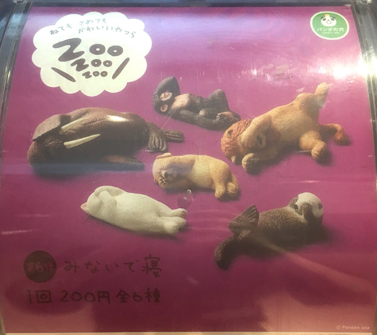 ヴィレッジヴァンガード池袋マルイ店 閉店 On Twitter 大人気zoozoozooから もうしら寝 シリーズ入荷いたしました 寝顔が可愛すぎる動物たちは全部で6種類 ガチャには他にも つかれた寝 みないで寝 ひまなの寝 の3シリーズございます ガチャ パンダの穴 もう