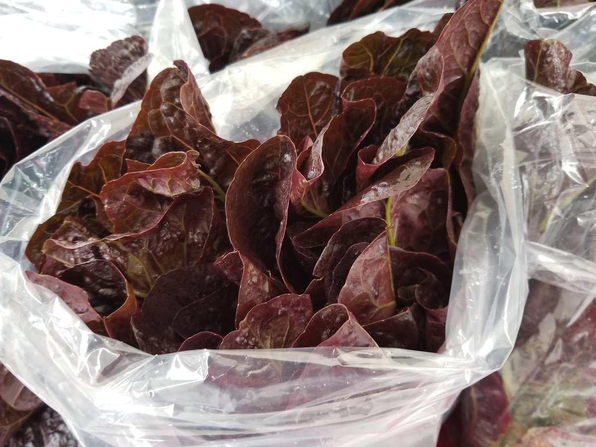cherrylanefarms's tweet photo. Cherry lane is open for business @UnSqGreenmarket today with lots of jerseys #asparagus #kale #chard #spinach  so stop on by while it lasts:^) https://t.co/86A7QAn7Ss