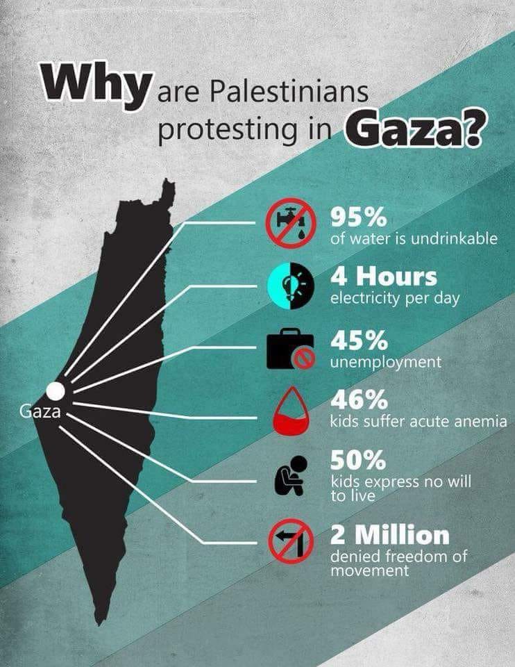 A_Paulikevitch's tweet photo. Why are Palestinians protesting in Gaza?
#Palestine #Palestinian #Palestinians #Gaza #GazaMassacre #GazaUnderAttack #GazaReturnMarch #EmbassyOfFreedom #EmbassyMove #israelTerrorists #Israeli #Israel70 #Israel #ApartheidIsrael #America #American #AmericaFirst #AmericanEmbassy https://t.co/qsEsuMHOQy