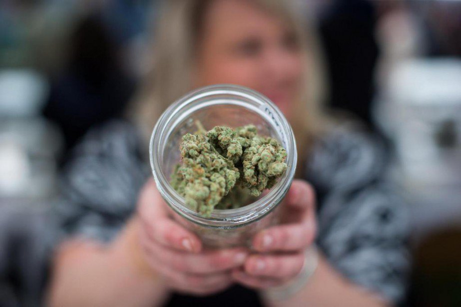 LP_LaPresse's tweet photo. La Société québécoise du cannabis embauchera en juin https://t.co/y6xBY3xbyH https://t.co/OHB3R6IeLZ
