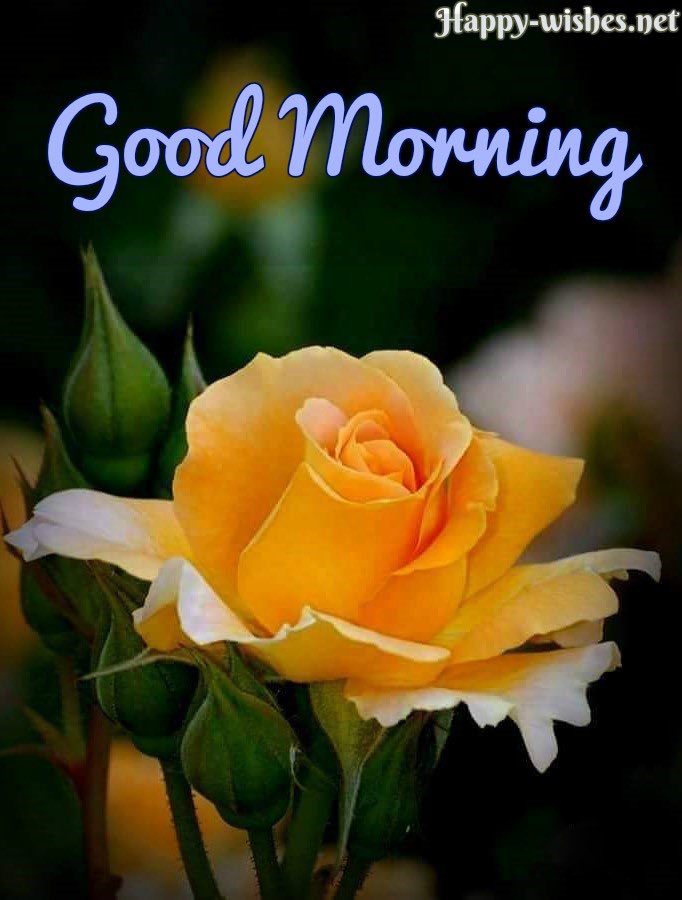 FeliciaGlanton's tweet photo. Heavenly Father, i thank you for a new day, no matter my circumstances...I praise your Holy name. Aside from you there is no other #God. I will stop/smell the roses/remember #ThingsCouldBeWorse #Greatful2GOD #OverwhelmedByHisHolySpirit #HesAWayMaker #MiracleMaker #LightINdarknes https://t.co/MtuCQI4Gyw