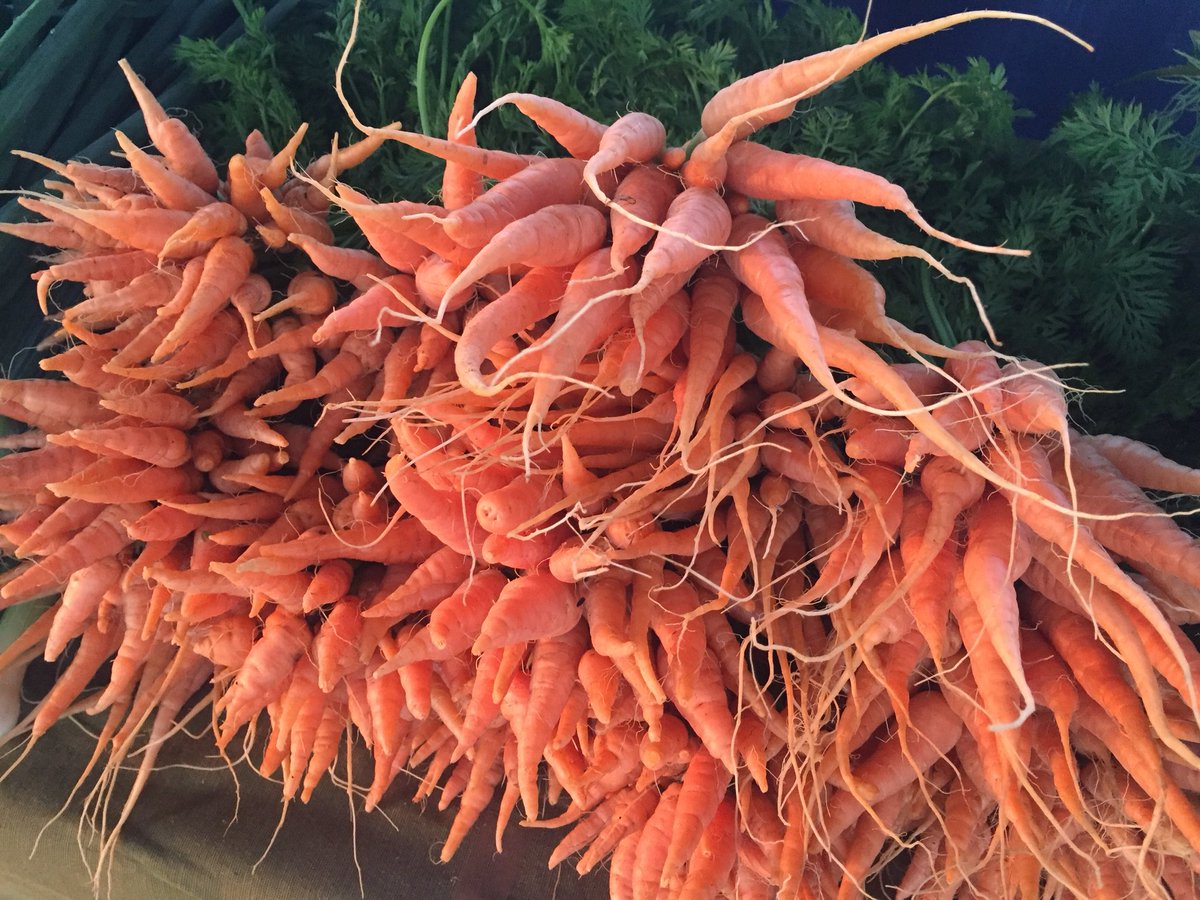 richardFox40's tweet photo. The Overland Park Farmers Market(Wednesday) opens for the season today! So much good stuff here! @41actionnews https://t.co/hzTcjUa1KP