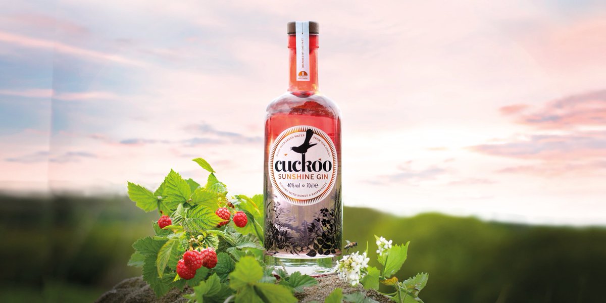 CuckooGin's tweet photo. “Hello, Sunshine” 😍🌞
The enduring Lancashire greeting  👨‍👩‍👧‍👦❤️has inspired our latest expression, ready for the British Summer! 
We have teamed up with the good people @thebeecentre to infuse with honey from Lancashire honeybees 🐝🍯 &amp; fruity raspberries. https://t.co/c0nbgn7EF4