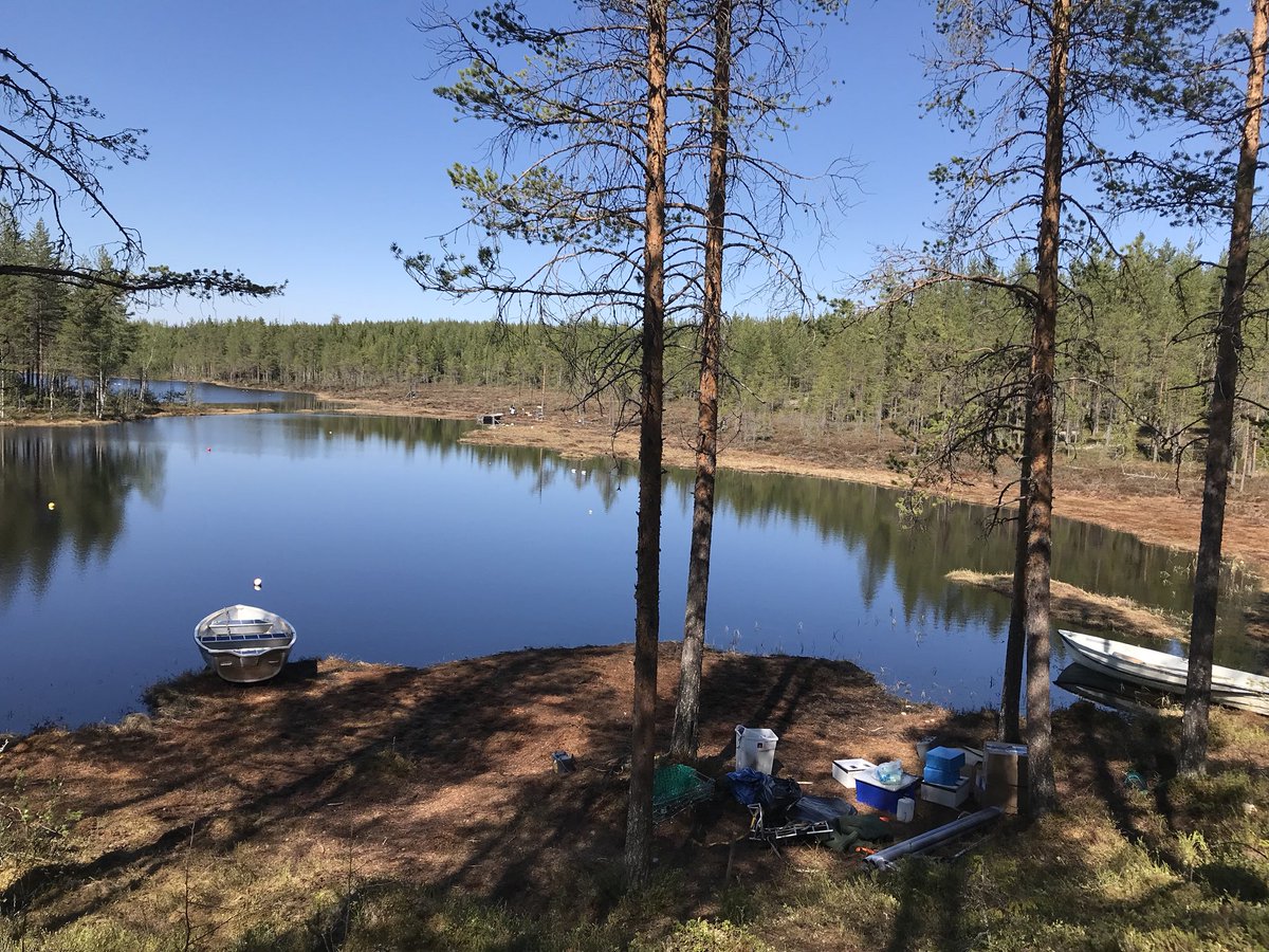 shunkoifish's tweet photo. Beautiful day to start year 2 of the Wallenberg experimental lakes! https://t.co/eGtE7tOtwZ