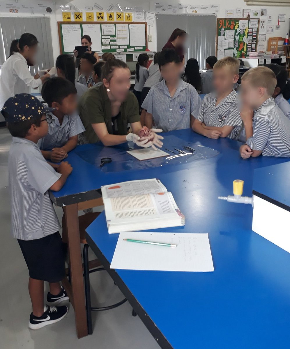 MeghanGw's tweet photo. I heart my little inquirers, literally! We have been inquiring into the circulatory system this week, and were invited to help the year 12s do some dissecting! "Mrs G, check out this blood clot we found!" *Turns pale* #gvlearns #Ialmostfainted #handsonlearning https://t.co/09RlH6pm8R