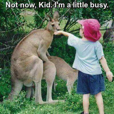 Jessica57476393's tweet photo. #Don't disturb https://t.co/IMPtgPV1tl