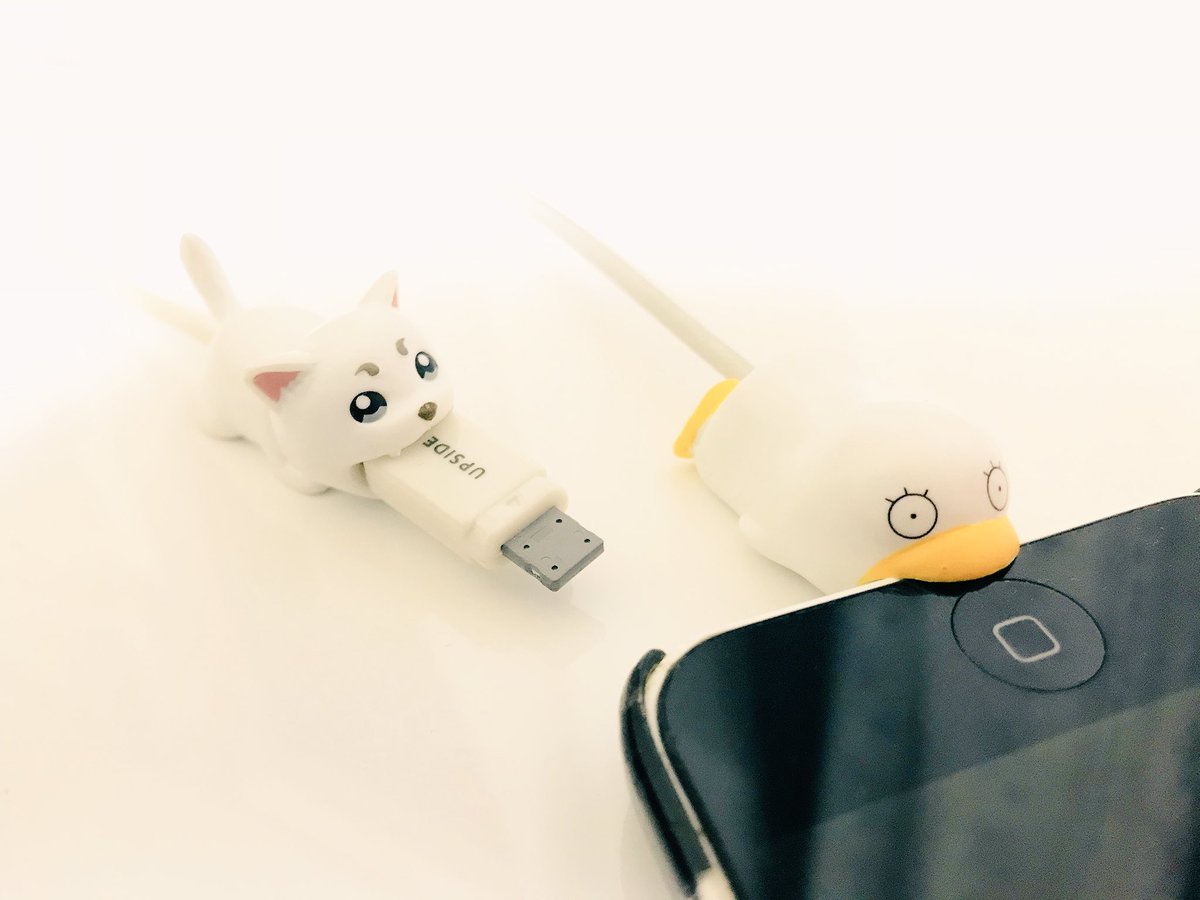 aa____1230's tweet photo. かわいい… https://t.co/ZkXpKpqiYk