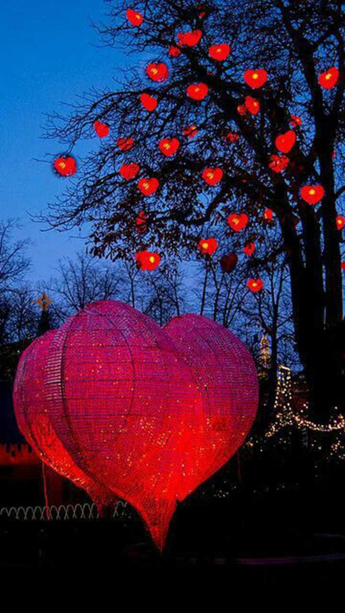 Nicrin207Dz's tweet photo. @fiorema2014 @amornovoa @TracyLeDrew @toms_painting @bojanek_riri @ElektraButler Hola https://t.co/3Gxx7gj6KP