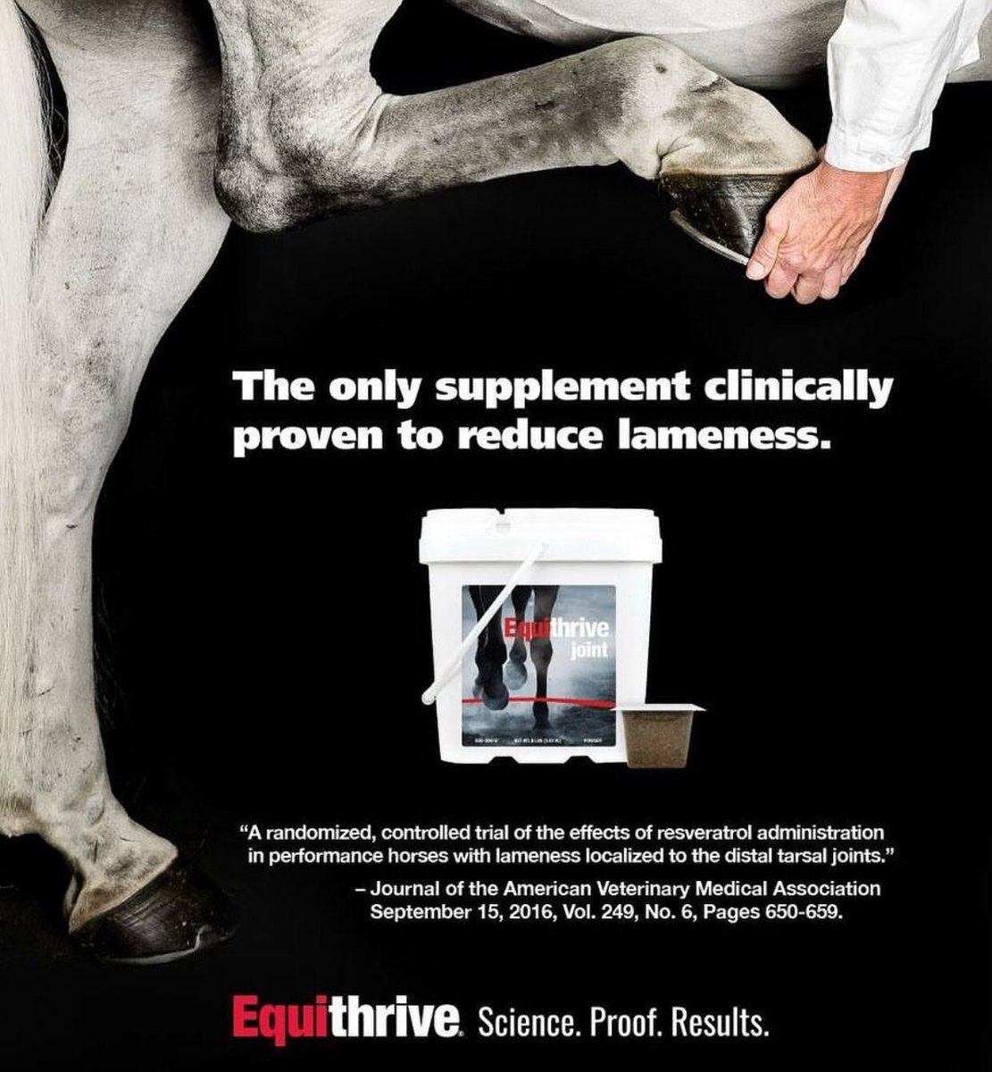 SplitRockJumpingTour tweet media