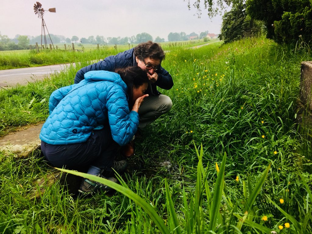 SchreursWillem's tweet photo. Pouilly on Bassigny (F), source of the #Meuse #Maas, Supporting LiAn Phoa on her ‘Source to Sea’ River walk along the Meuse, engaging people to take care of #Rivers https://t.co/6HZvZZuYxH https://t.co/QByuOjn7gU https://t.co/ifaL0gY6uu