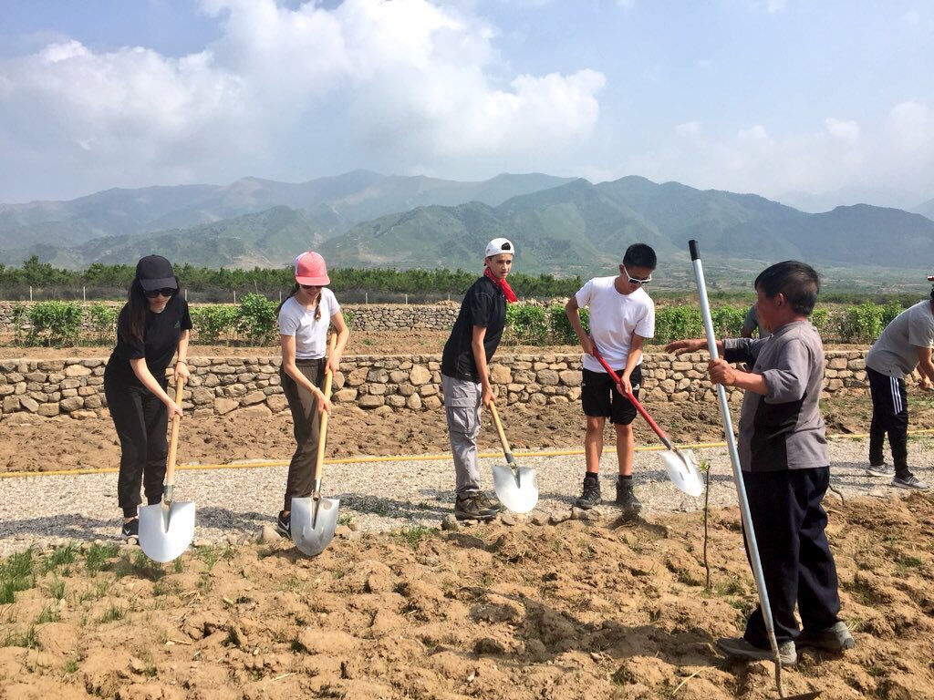 MsMBrooks's tweet photo. Day 5 (1/2): A day so nice, we had to post twice! Exploring the rural community and getting our hands dirty turning over new soil and building walls that were ALMOST as big as The Great Wall! #MulgraveChina 👷🏻‍♀️👨🏻‍🌾🇨🇳 https://t.co/AZ30o0RGpu