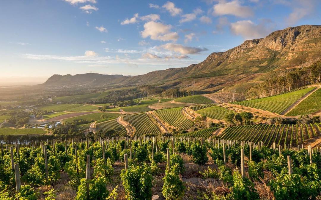 Constantia Valley and all her beauty!
Captured by @eyesonlocation

#kovecollection #thealphen #constantiavalley #heritage
<a href="/constantia1685/">Constantia Valley</a> 
alphen.co.za