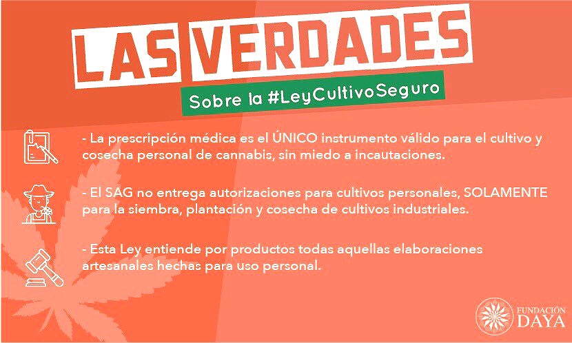 FundacionDaya's tweet photo. Hoy puede ser un día histórico para los derechos de miles y miles de usuarios medicinales de cannabis. A las 13:00 se vota #LeyCultivoSeguro en la Sala plena de la @CamaraDiputados. Aquí todo lo que necesitas saber del proyecto. Apoya las 13:00!!! https://t.co/KUPjBNdxmM